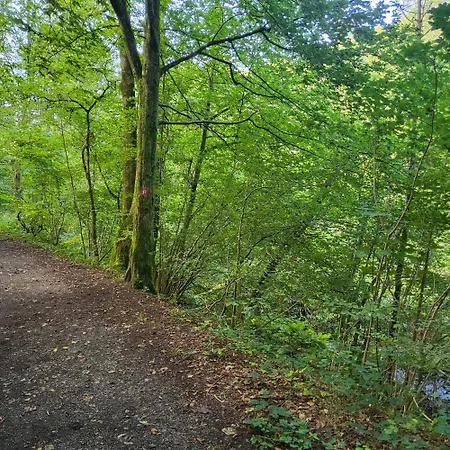 Bielsteiner Heideglück *