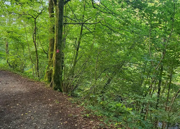 Bielsteiner Heideglück *